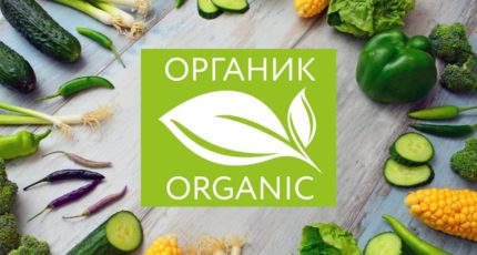 4 декабря 2023 года состоится Второй всероссийский съезд производителей органической продукции