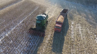 Воронежские аграрии рассказали о сложностях при сборе урожая в январе
