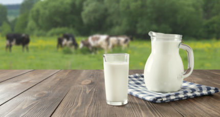 Объём реализации молока в сельхозорганизациях вырос на 2,5%