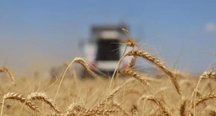 Сергей Лавров обсудил культивирование российских зерновых и ирригационные системы в Эсватини