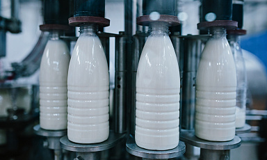 Объём реализации молока в сельхозорганизациях вырос на 7,5%