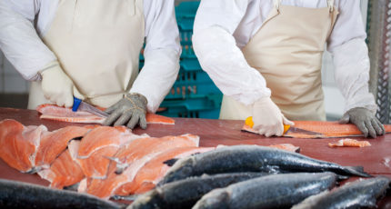 Рыбный союз предложил выдавать льготные кредиты переработчикам рыбы
