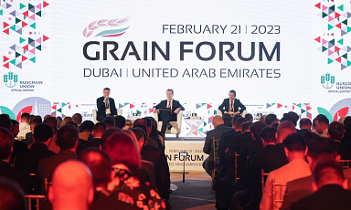 В Дубае обсудили развитие зернового рынка