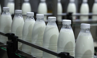 Объём реализации молока в сельхозорганизациях вырос на 6,2%