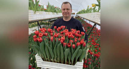 Юрист из Воронежской области организовал собственное фермерское хозяйство и теперь выращивает 85 сортов тюльпанов