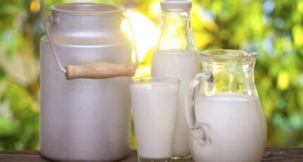 Объём реализации молока в сельхозорганизациях вырос на 3,5%