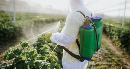 Управление Россельхознадзора напоминает фермерам о необходимости соблюдения правил применения пестицидов и агрохимикатов