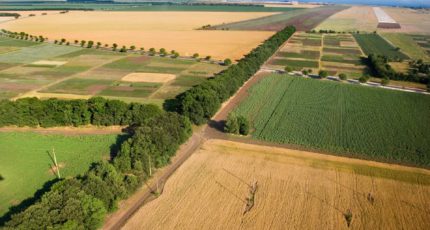 Адаптивно-ландшафтные подходы к созданию современных систем земледелия