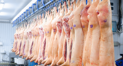 Аналитики прогнозируют рост мирового производства свинины в 2023 году