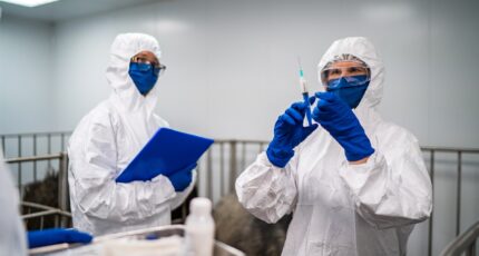 В ФГБУ «ВНИИЗЖ» разработали новую вакцину против классической чумы свиней