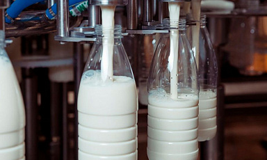 Объём реализации молока в сельхозорганизациях вырос на 6,7%