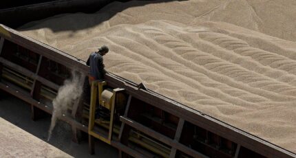 В Кремле подтвердили продление зерновой сделки на два месяца
