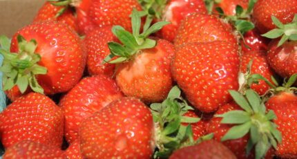 Плоды и ягоды органики