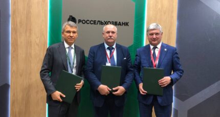 Россельхозбанк профинансирует строительство в Воронежской области тепличного комплекса по выращиванию огурцов