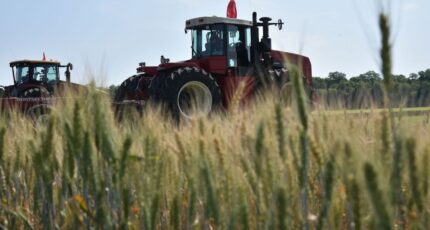 Воронежская область вошла в топ-3 регионов по числу вакансий в сельском хозяйстве