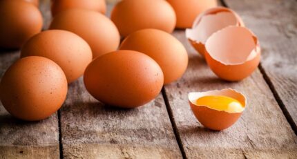 Опрыскивание куриных яиц пробиотиками как новый способ повысить здоровье кур