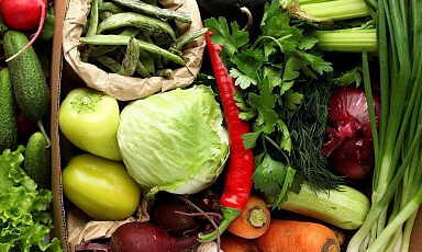 В России увеличилось производство овощей «борщевого набора»
