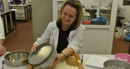 В борьбе за вкусный хлеб. Воронежскому центру оценки качества зерна исполнилось 100 лет