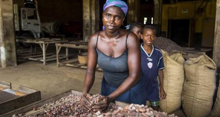 Производители шоколада начали сокращать долю какао из-за рекордных цен