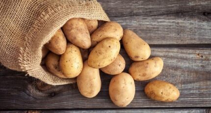 Цены на картофель в России снизились почти на четверть
