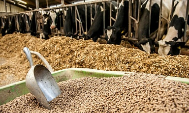 В ЕАЭС установят единые требования для кормов и добавок для сельскохозяйственных животных