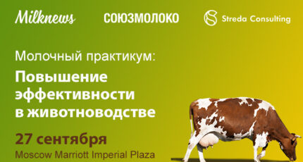 27 сентября 2023 года Союзмолоко и Milknews проведут «Молочный практикум: повышение эффективности в животноводстве»