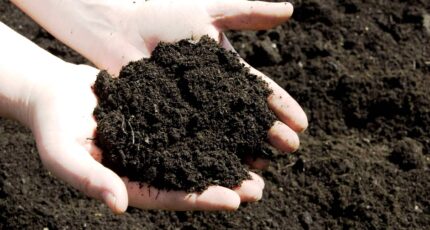 Агрохимический анализ почвы - неотьемлемая часть в получении высокой урожайности сельхозкультур