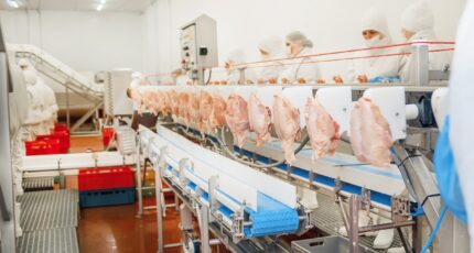 Для российского мяса птицы открыли рынок Алжира
