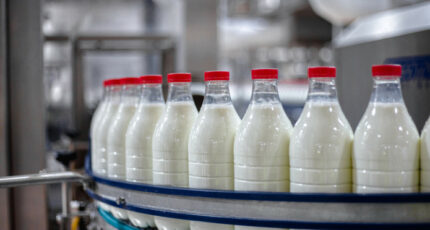 Производители молочной продукции фиксируют существенное снижение запасов