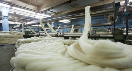 Производство шерсти в России в 2023 году останется на уровне прошлого года