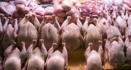 Минсельхоз предложил запретить вывоз отдельных видов мяса птицы на шесть месяцев