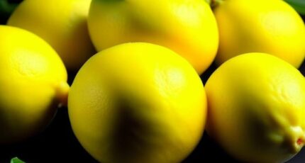 Евросоюз может остаться без своих лимонов в связи с постоянным импортом вредителей
