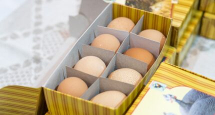 В ЮАР не хватает яиц из-за гриппа птиц