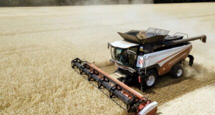 В России изменят логику распределения субсидий зернопроизводителям