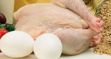 ФАС проводит антикартельные проверки 12 производителей куриных яиц и мяса кур