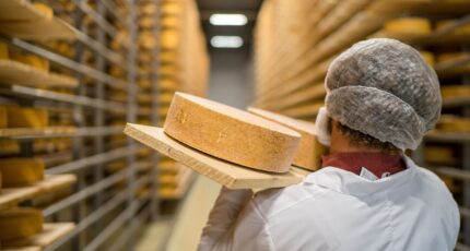 На офлайн-рынке сыров продажа твердых сортов составляет 60%
