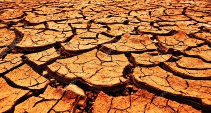 Не имеющую аналогов математическую модель рисков опустынивания создали ученые ФНЦ агроэкологии РАН