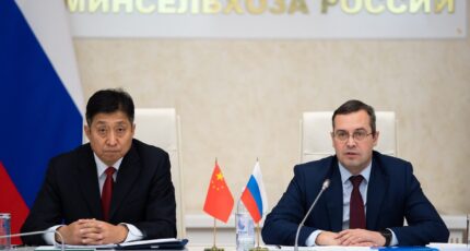 Россельхознадзор обсудил с ГТУ КНР проект протокола для поставок российской свинины в Китай