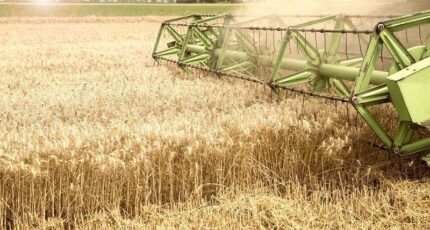 Минсельхоз повысил прогноз по сбору зерна в 2023 году до 142 млн тонн