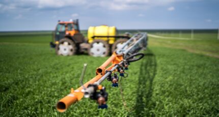 Россельхознадзор предлагает скорректировать законодательную базу для контроля ввоза и применения пестицидов