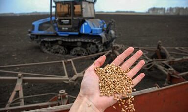 Российские аграрии наращивают объемы закупки семян к весеннему севу
