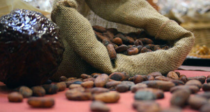 Цены на какао-бобы достигли рекордного за 46 лет значения