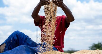 Патрушев заявил, что Россия завершила поставки пшеницы в шесть беднейших стран Африки