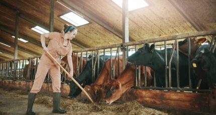 Эксперты оценили особенности нового закона о навозе и подходы к работе с побочными продуктами животноводства
