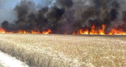 С 1 апреля в Воронежской области вводится особый противопожарный режим